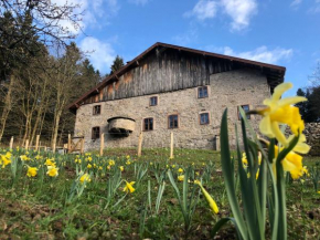 Gîte Tranquille à la Ferme Vosgienne avec Parking - FR-1-589-779